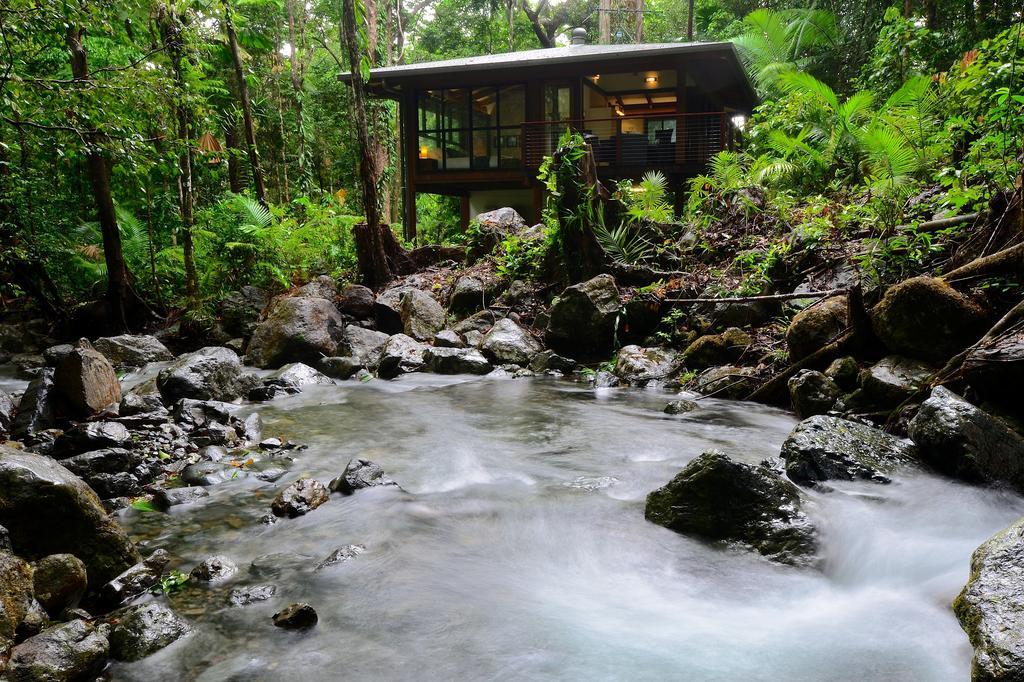 Black Palm Cape Tribulation Room photo