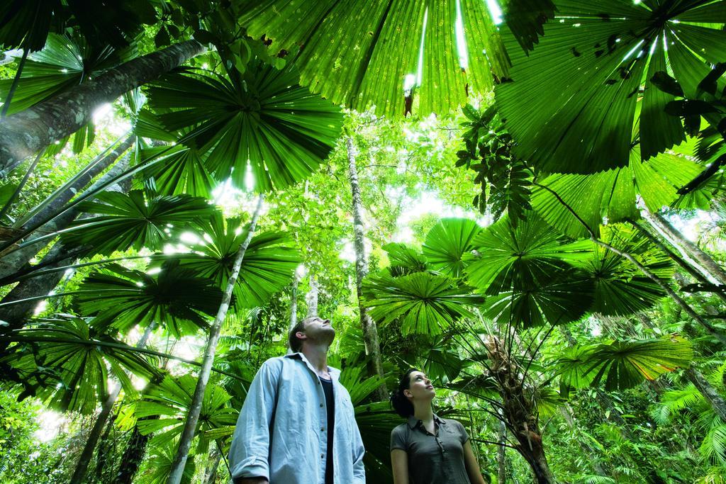 Black Palm Cape Tribulation Exterior photo